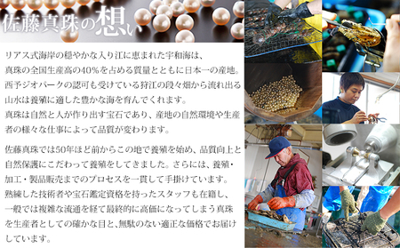 保証書付＜真珠イヤリング・トライアングル（ホワイトゴールド）＞ 7.0～7.5mm ノンホールタイプ パール アクセサリー フォーマル ファッション かわいい レディース 女性 記念日 成人祝い 佐藤真珠 愛媛県 西予市 【常温】『最短10営業日以内に発送予定』ASS0018