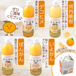 マルワフルーツ柑橘アソート6本セット手提げ箱