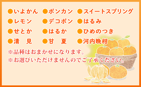 ＜愛媛県西予市産 柑橘詰め合わせ 合計約5kg＞ 果物 フルーツ お任せ おまかせ お楽しみ みかん ミカン 蜜柑 食べ比べ 詰合せ セット ご家庭用 柑橘 特産品 夕焼け山農園 愛媛県 西予市 【常温】『2025年1月上旬～3月下旬迄に順次出荷予定』AYN0002