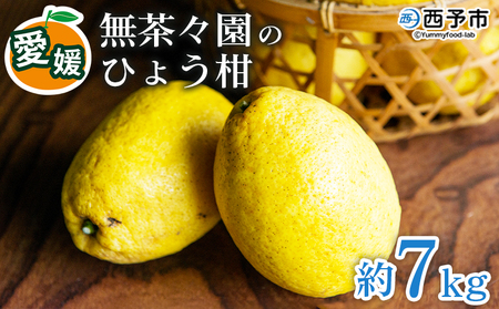 先行予約 ＜無茶々園のひょう柑 約7kg＞ フルーツ 果物 蜜柑 柑橘 ひょうかん 弓削瓢柑 期間限定 季節限定 特産品 愛媛県 西予市【常温】『2026年4月～5月上旬迄に順次出荷予定』AMC0023