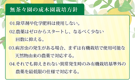 先行予約 ＜無茶々園のひょう柑 約3kg＞ 果物 みかん ミカン 蜜柑 柑橘 フルーツ ひょうかん 弓削瓢柑 特産品 愛媛県 西予市【常温】『2025年4月上旬～5月上旬迄に順次出荷予定』AMC0009