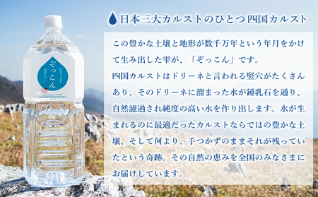 四国カルスト天然水ぞっこん 2L(6本入り)×2ケース 計12本 NZS0003