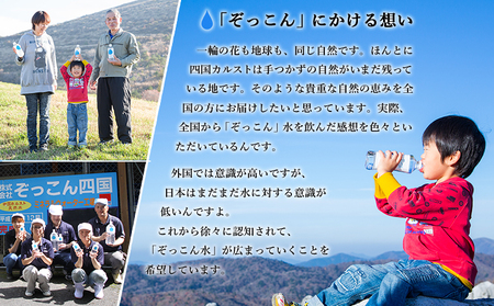 四国カルスト天然水ぞっこん 500ml(24本入り)×2ケース 計48本 NZS0006