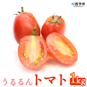 甘くて濃厚な味わい「うるるんトマト」(1kg）