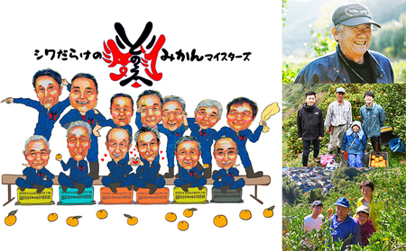 愛媛県明浜産 ジュエリーボックス（柑橘編）4kg【１月配送】 ATI0026_01