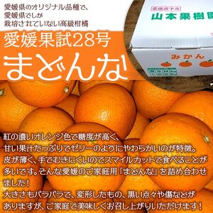 ＜まどんな 約4kg（家庭用・M～3Lサイズ混合）＞果物 オレンジ フルーツ 柑橘 みかん 愛果28号 マドンナ 自宅用 食べて応援 特産品 産地直送 山本果樹園 西宇和 三瓶産 愛媛県 西予市【常温】『2024年12月上旬～12月下旬迄に順次出荷予定』MYK0003