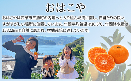 <おはこやがつくる ニューサマーオレンジ(日向夏) 約4kg(L~3Lサイズ)> 果物 フルーツ 柑橘 ミカン 蜜柑 日向夏 小夏 特産品 西宇和 愛媛県 西予市【常温】『2026年4月上旬~4月下旬迄に順次出荷予定』MOK0005