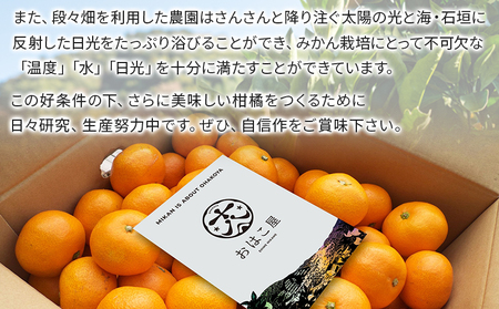 ＜おはこやがつくる 高品質みかん 約3kg（S～Lサイズ）＞ 果物 フルーツ 柑橘 ミカン 蜜柑 特産品 西宇和 愛媛県 西予市【常温】『2024年11月中旬から12月中旬迄に順次出荷予定』MOK0014