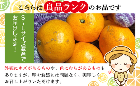 ＜木下さんちのみかん 良品 約10kg（S～Lサイズ混合）＞柑橘類 温州みかん ミカン 果物 くだもの フルーツ 特産品 木下農園 西宇和 愛媛県 西予市【常温】『2025年11月中旬から12月下旬に順次出荷予定』MKS0004