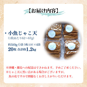 小魚じゃこてん UNT0002