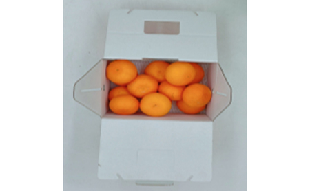 せとか L~3Lサイズ 2.5kg ご家庭用