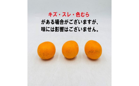 せとか L~3Lサイズ 2.5kg ご家庭用