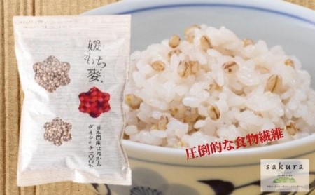 SAKURA select 「もち麦のめぐみセット」 麺類 うどん 乾麺 お米 食物繊維 主食 ランチ 昼ごはん 夜ごはん 夜食 