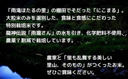 〈坂本自然農場 穂田琉〉 特別栽培米:にこまる 精米2kg ご飯 お弁当 おにぎり 冷めても美味しい 愛媛県産 ギフト プレゼント