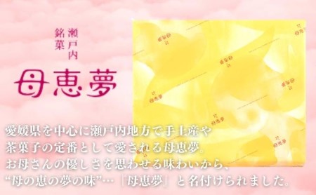 瀬戸内銘菓 母恵夢 9個入　ポエム 手土産 贈答 ギフト お菓子 スイーツ 和菓子 茶菓子 
