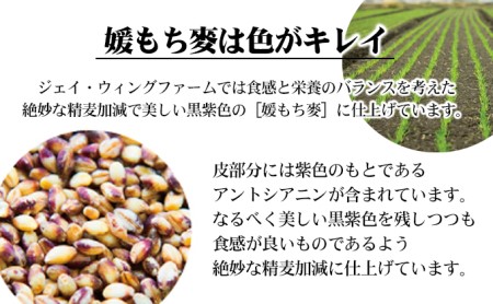 媛もち麥1kg2袋セット／もち麦 麦ごはん 雑穀 食物繊維豊富 食物繊維 もちもち プリプリ 食感 食品 食べ物 ご飯 おにぎり お弁当 主食 毎日 炭水化物 国産 日本産 愛媛県産 東温市産 直送 産地直送 