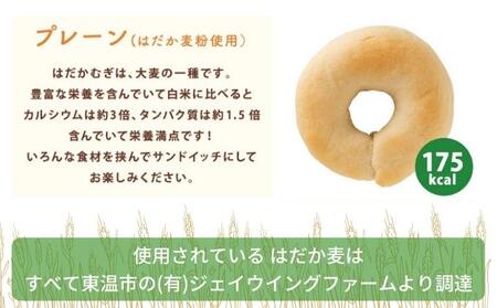 こんにゃくベーグル（プレーン）10個セット 【一柳こんにゃく店のベーグル】 パン 朝食 軽食 朝ごはん ランチ 東温市産はだか麦粉 食物繊維 カルシウム からだにやさしい ベーグルサンド 