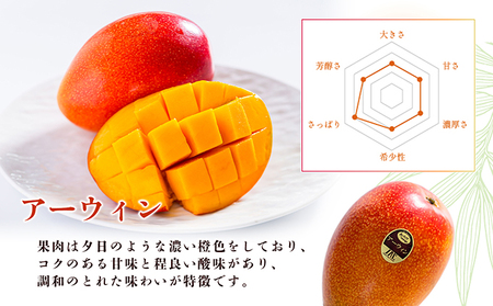 あったかマンゴー / アーウィン / 4kg