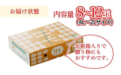 【先行受付】甘平 化粧箱 4L～2Lサイズ 8～12玉 贈答用