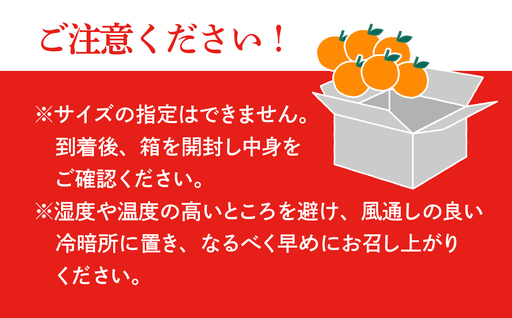 【先行受付】甘平 化粧箱 4L～2Lサイズ 8～12玉 贈答用