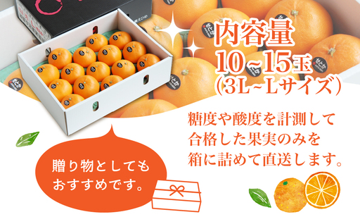 みかん せとか 化粧箱 3L～Lサイズ 10～15玉