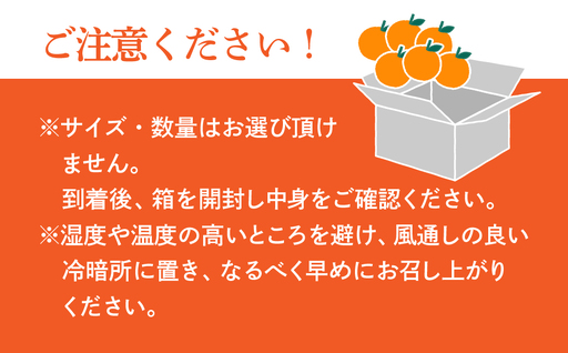 みかん せとか 化粧箱 3L～Lサイズ 10～15玉
