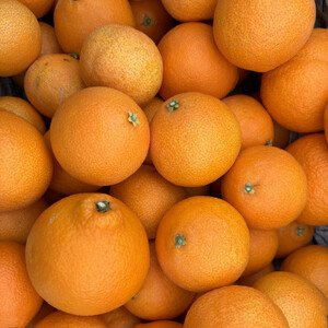 【12月上旬~順次配送】【訳あり】シュガーファームのまどんな3kg サイズミックス【1446622】