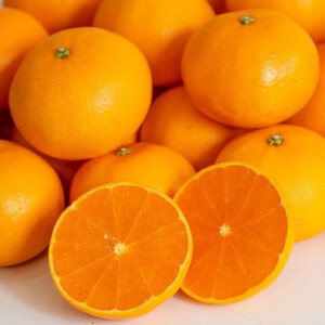 愛媛 ブルーレモンファームのせとか 2.5kg サイズ混合【数量限定】【1489640】