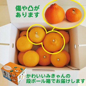 愛媛 ブルーレモンファームのせとか 2.5kg サイズ混合【数量限定】【1489640】