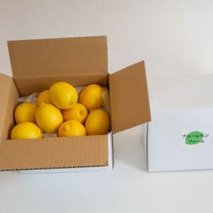 愛媛　ブルーレモンファームのレモン　約1kg　【2024年4月～順次発送】【1489653】