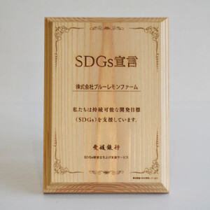 愛媛　ブルーレモンファームのごくしぼりみかんジュース　1L　3本【1489663】