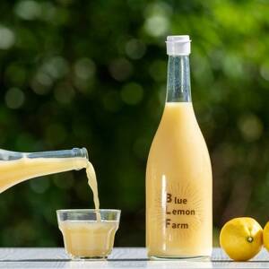 愛媛　ブルーレモンファームのレモン果汁　720ml×3本セット【1489700】