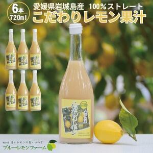 愛媛　ブルーレモンファームのレモン果汁　720ml×6本セット【1489706】