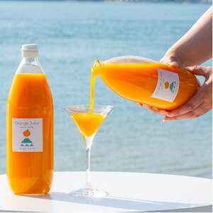 愛媛 シュガーファーム 丸搾り みかんジュース ストレート1000ml×1本【1507600】