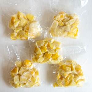 瀬戸内産 カットレモン冷凍　200g×5パック【2026年2月中旬～順次発送】【冷凍便】数量限定【配送不可地域：離島】【1510157】