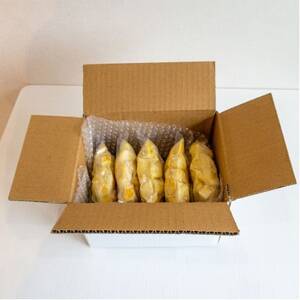 瀬戸内産 カットレモン冷凍　200g×5パック【2026年2月中旬～順次発送】【冷凍便】数量限定【配送不可地域：離島】【1510157】