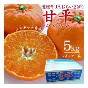 【先行受付】人気柑橘　甘平(かんぺい)レギュラー箱　5kg　愛媛県　JAおちいまばり【配送不可地域：離島】【1535534】