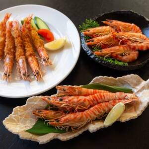 急速冷凍活きな車えび【有頭5~6尾(約170g)×2袋セット】【配送不可地域:離島】【1576828】