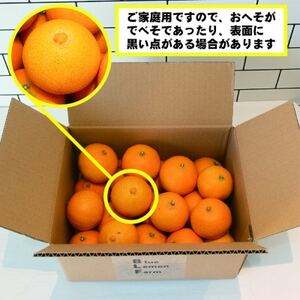 岩城まどんな 約3kg　ご家庭用 ※紅まどんなと同品種【1581787】