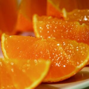 岩城まどんな 約3kg　ご家庭用 ※紅まどんなと同品種【1581787】