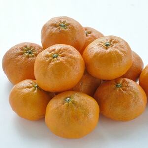 【先行受付】人気柑橘　甘平(かんぺい)レギュラー箱　5kg　愛媛県　JAおちいまばり【配送不可地域：離島】【1622635】