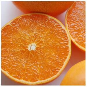 【先行受付】せとか　レギュラー箱　5kg　愛媛県JAおちいまばり【配送不可地域：離島】【1622636】