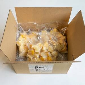 【お試し】瀬戸内産　カットレモン 冷凍　200g×3パック【2026年2月中旬～順次発送】数量限定【配送不可地域：離島】【1644057】