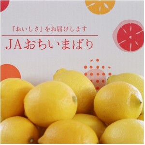 【先行予約】瀬戸内レモン小箱　約2.5K　JA選果品　2L～Mサイズ【1644255】