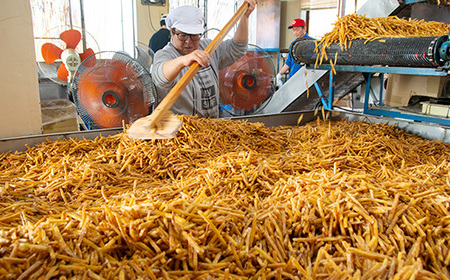 上島町岩城島名産　芋菓子小箱3箱【1149887】