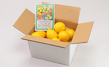 青いレモンの島　レモン約1kg【お試しセット】【1287524】
