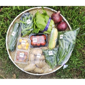 野菜セット(季節の新鮮野菜詰め合わせ)【1360460】