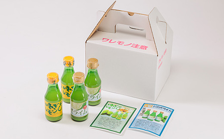 果汁2種(レモン・ライム)セットA　計4本【1123665】