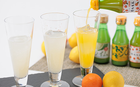 果汁3種(レモン・ライム・姫レモン)セットA　計6本【1123666】