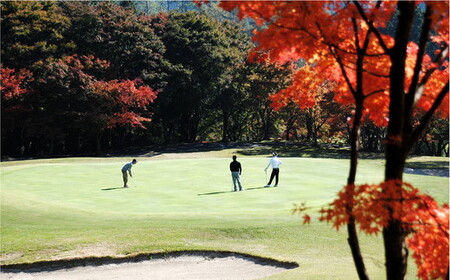 ゴルフプレー クーポン券（3,000円分）